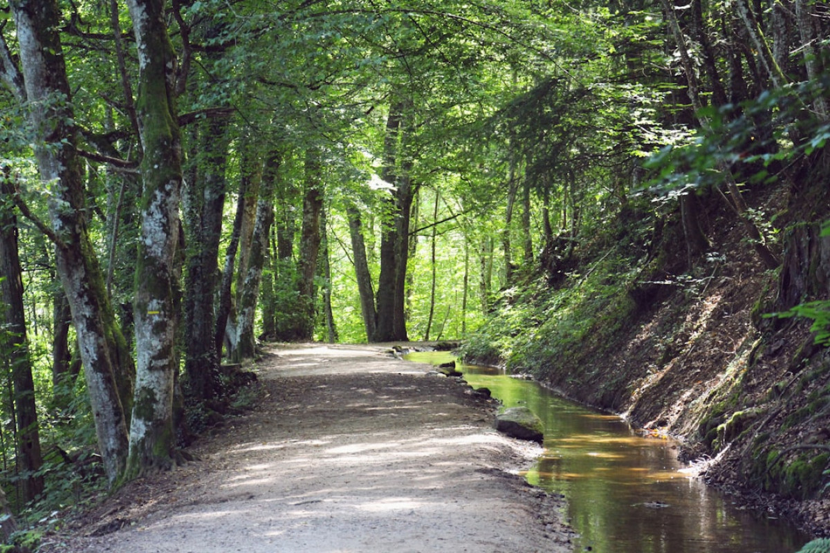 Naturerlebnisse